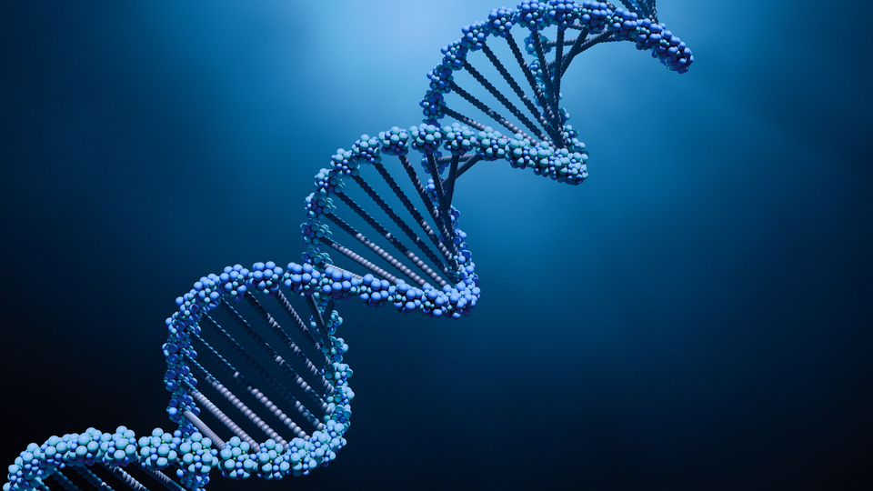 Unsere Humangenetik - interdisziplinär und patientenorientiert