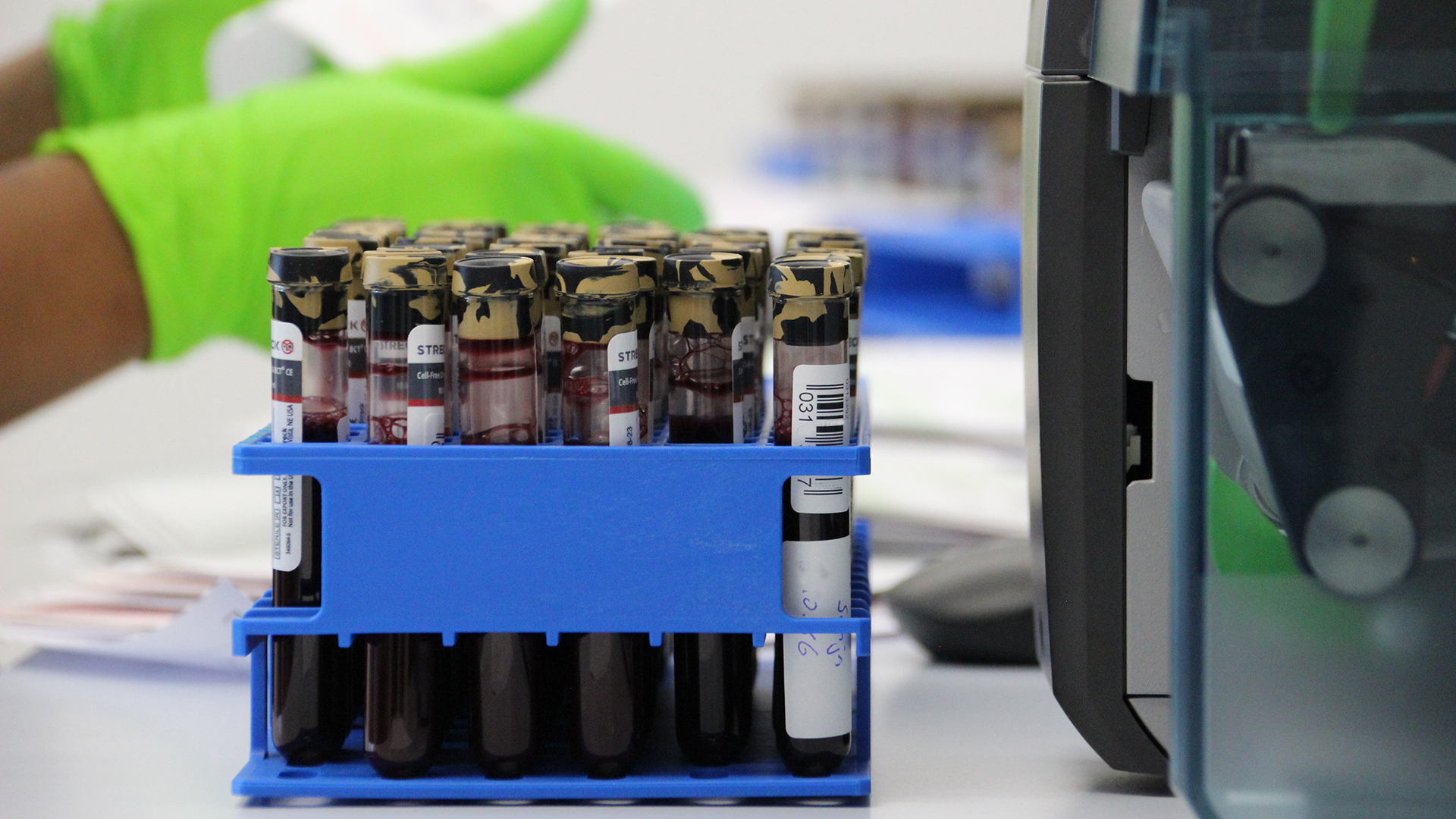 Umfangreiche genetische Analysen